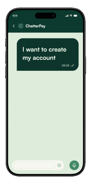 WhatsApp interface showing money transfers